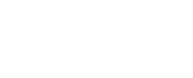 light logo